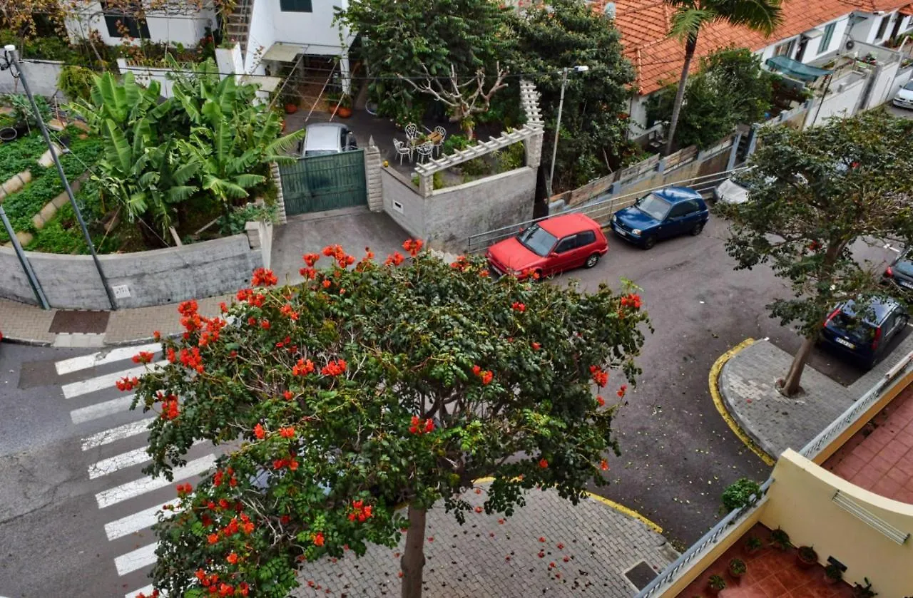 Perola, A Home In Madeira Funchal  Lejlighed